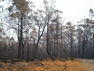View of coupe