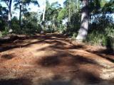 Old picnic
   ground