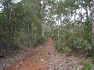 Derrick's Marsh Road