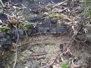 Coal
measures over mudstone ...