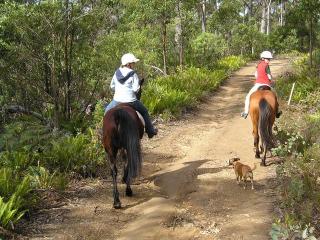 Horse riding 1